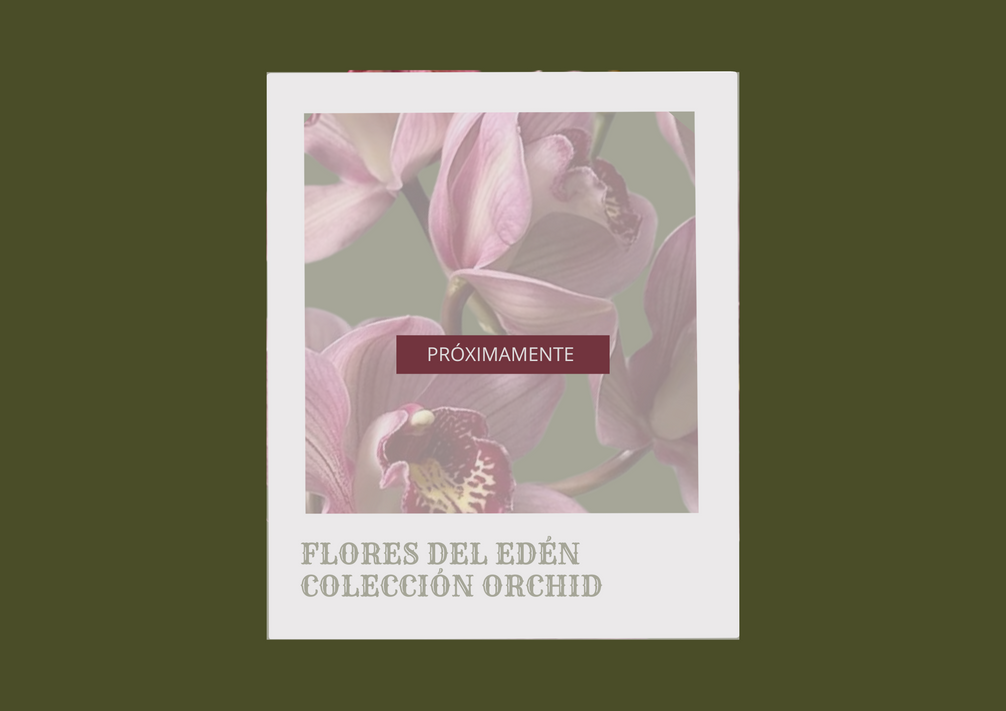2. Colección Orchid