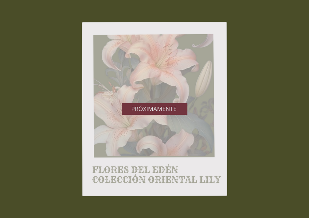 3. Colección Oriental Lily
