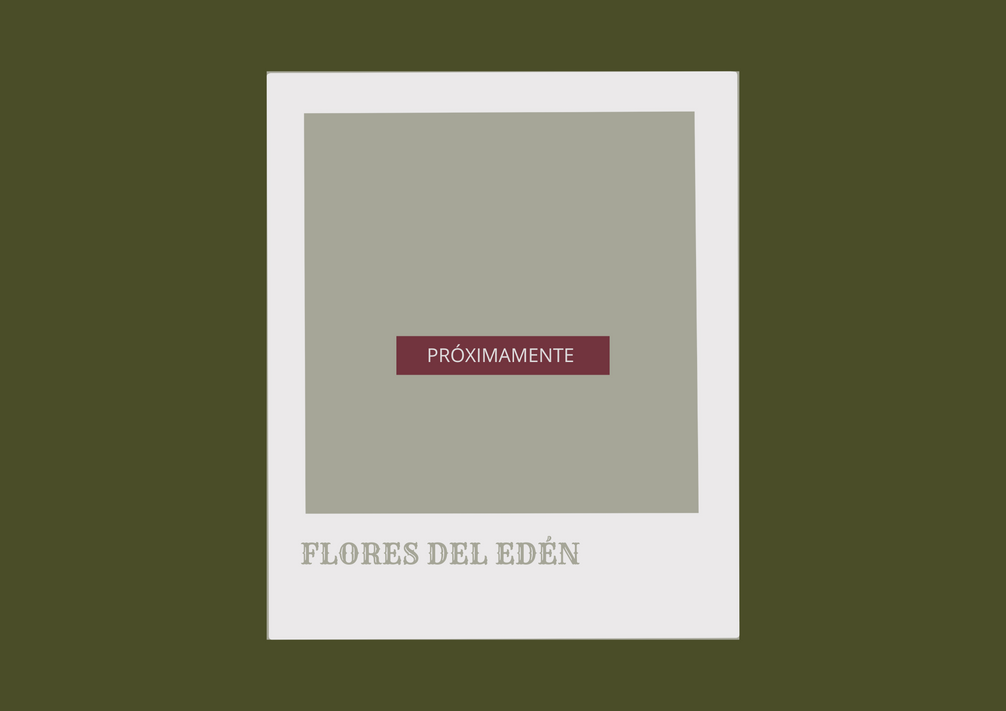 4. Colección en Proceso