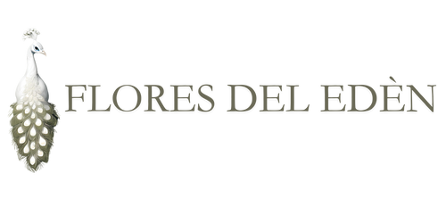 Mi tienda